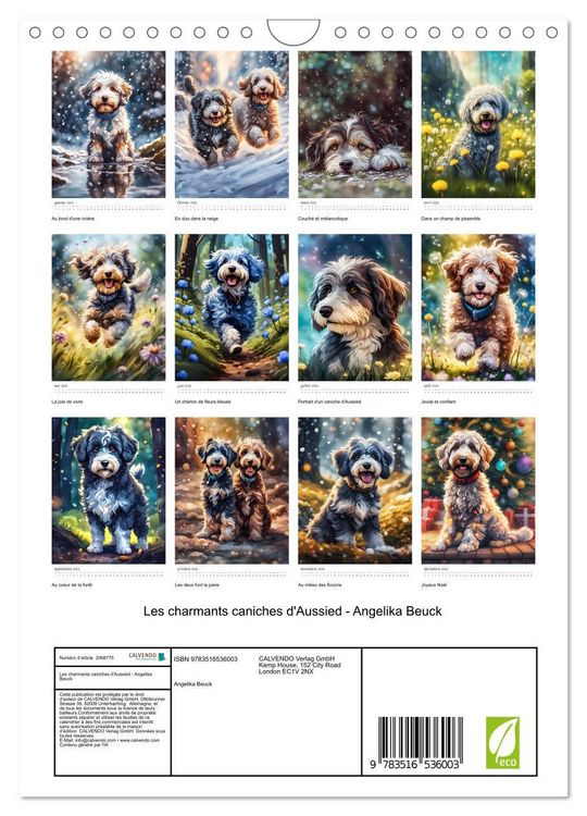 Produktbild: Les charmants caniches d'Aussied - Angelika Beuck (Calendrier mural 2026 DIN A4 horizontal), CALVENDO calendrier mensuel