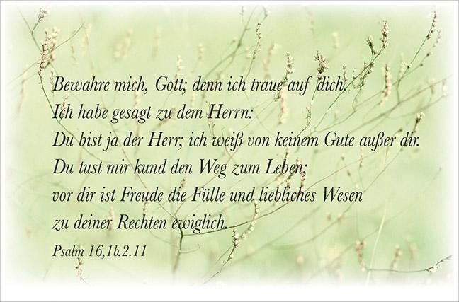 Produktbild: Deine Gebete aus den Psalmen