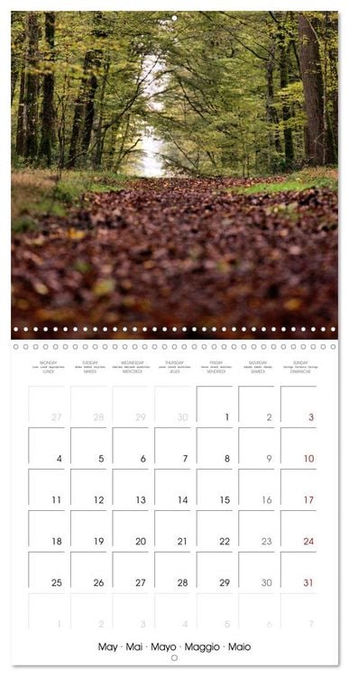 Produktbild: Les couleurs de la Vienne (Calendrier mural carr&eacute; 2026 30x30 cm) Calendrier double avec une page pour vos prises de notes