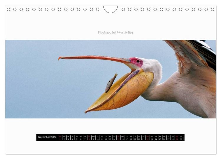 Produktbild: Namibia - Panoramen (Wandkalender 2026 DIN A4 quer), CALVENDO Monatskalender