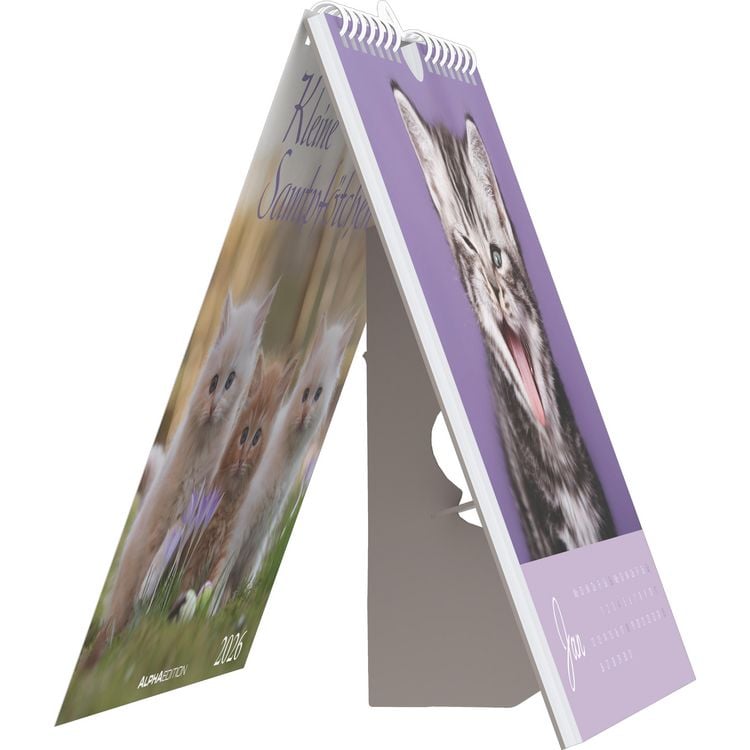 Produktbild: Kleine Samtpfötchen 2026 - Postkartenkalender 16x17 cm - Katzen - zum Aufstellen oder Aufhängen - Monatskalendarium - Gadget - Mitbringsel - Alpha Edi