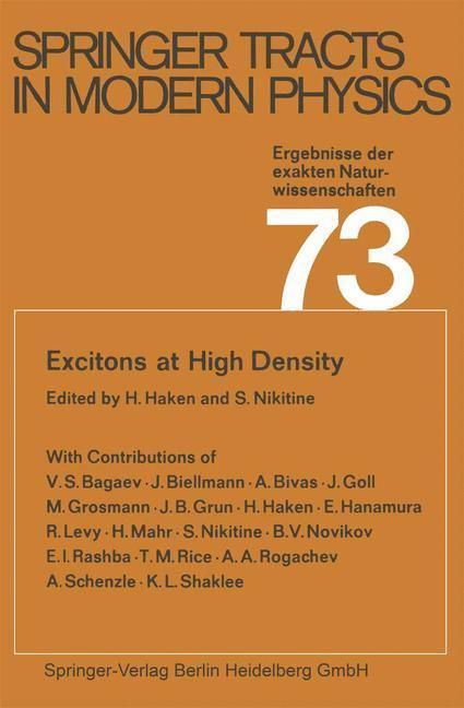 Produktbild: Excitons at High Density