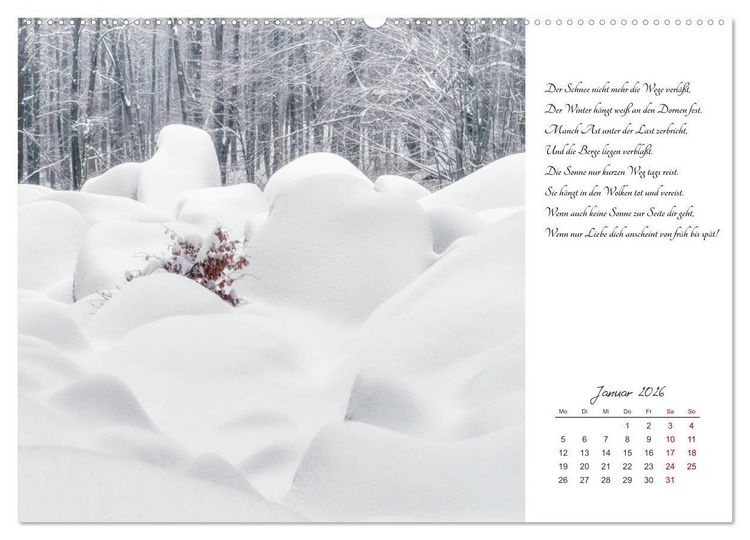 Produktbild: Max Dauthendey - Mit der Natur durchs Jahr (Wandkalender 2026 DIN A2 quer), CALVENDO Monatskalender