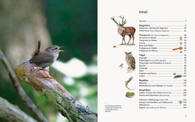 Produktbild: Wawra's Naturbuch &ndash; Unserer Natur auf der Spur, Bd. 1: S&auml;ugetiere, V&ouml;gel, Reptilien, Amphibien
