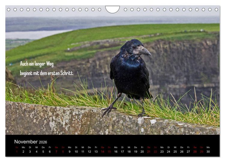 Produktbild: Irland - Irische Segensw&uuml;nsche (Wandkalender 2026 DIN A4 quer), CALVENDO Monatskalender