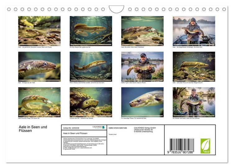 Produktbild: Aale in Seen und Fl&uuml;ssen (Wandkalender 2027 DIN A4 quer), CALVENDO Monatskalender