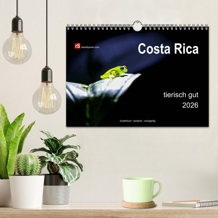 Produktbild: Costa Rica tierisch gut 2026 (Wandkalender 2026 DIN A4 quer), CALVENDO Monatskalender