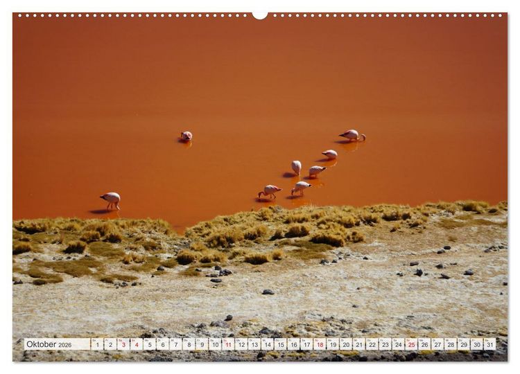 Produktbild: Bolivien - Unterwegs im Hochland (Wandkalender 2026 DIN A2 quer), CALVENDO Monatskalender