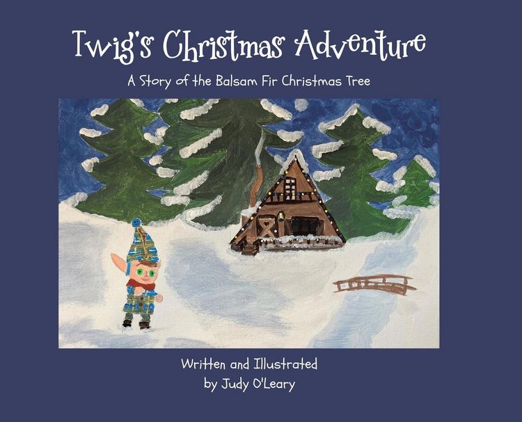 Produktbild: Twig's Christmas Adventure