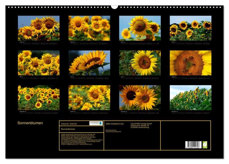 Produktbild: Sonnenblumen (Wandkalender 2027 DIN A2 quer), CALVENDO Monatskalender