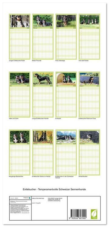 Produktbild: Familienplaner 2026 - Entlebucher - Temperamentvolle Schweizer Sennenhunde mit 5 Spalten (Wandkalender, 21 x 45 cm) CALVENDO