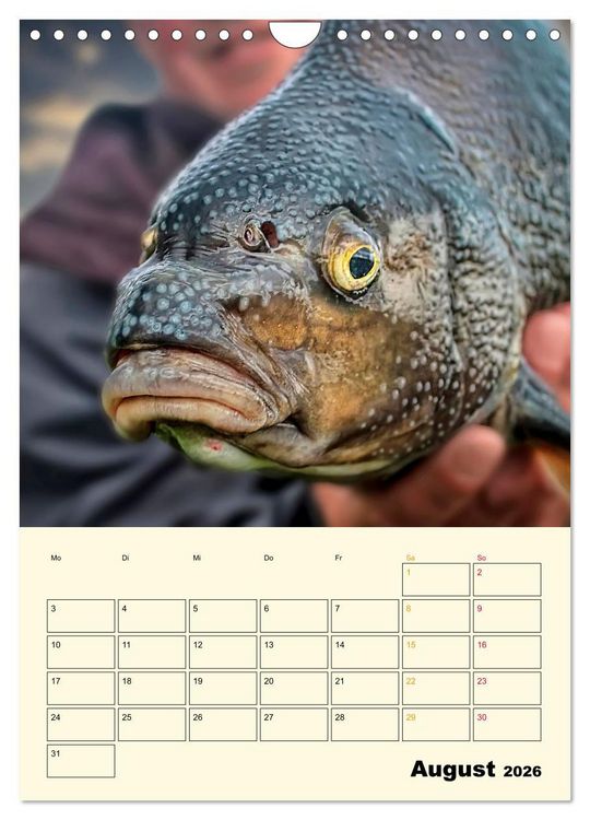 Produktbild: Angeln - extrem faszinierend (Wandkalender 2026 DIN A4 hoch), CALVENDO Monatskalender