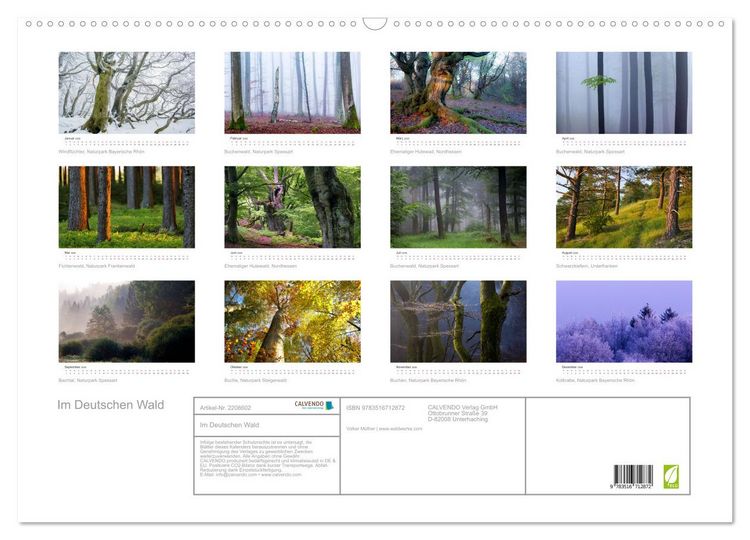 Produktbild: Im Deutschen Wald (Wandkalender 2026 DIN A2 quer), CALVENDO Monatskalender