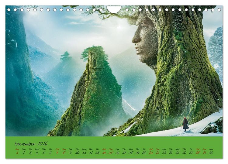 Produktbild: A strange forest In the lonely undergrowth (Wall Calendar 2026 DIN A4 landscape), CALVENDO 12 Month Wall Calendar
