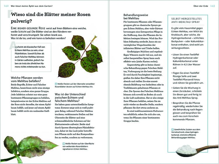 Produktbild: Wer klaut meine &Auml;pfel aus dem Garten