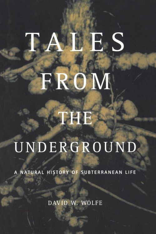 Produktbild: Tales from the Underground