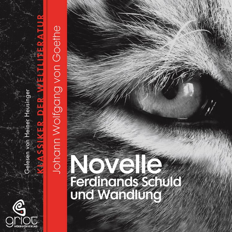 Produktbild: Die Novelle / Ferdinands Schuld und Wandlung