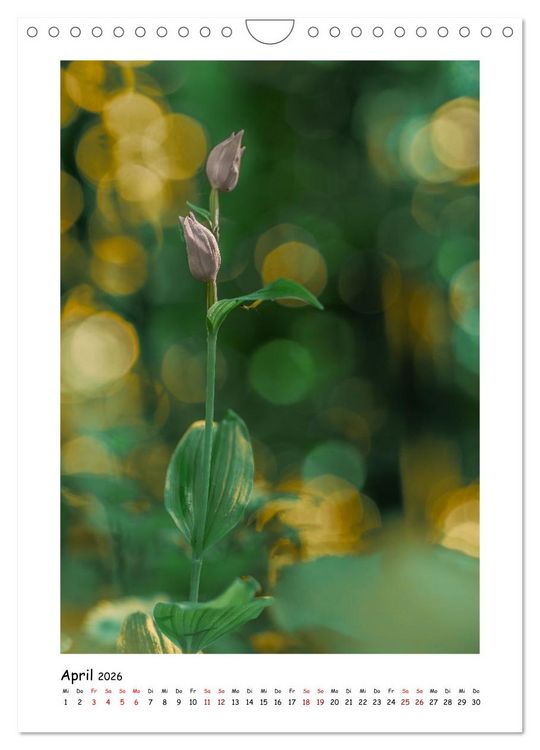 Produktbild: Bubble Bokeh (Wandkalender 2026 DIN A4 hoch), CALVENDO Monatskalender