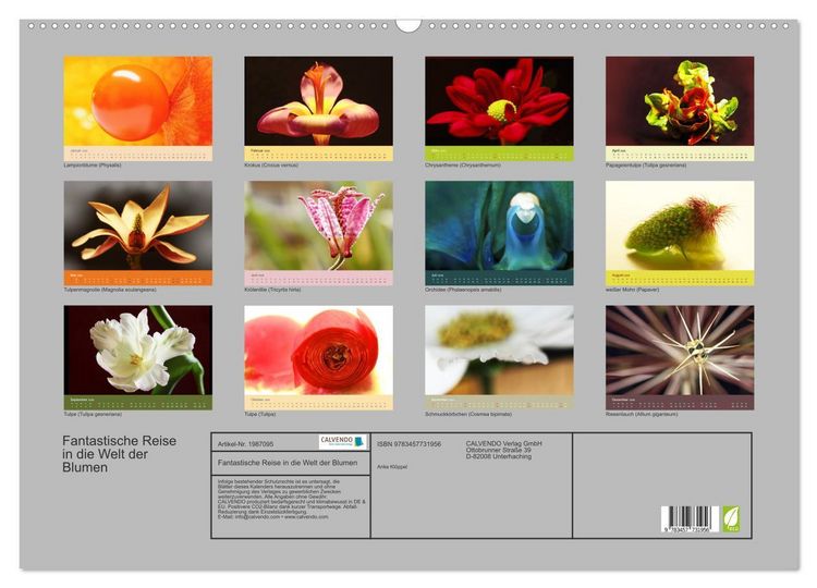 Produktbild: Fantastische Reise in die Welt der Blumen (Wandkalender 2026 DIN A2 quer), CALVENDO Monatskalender