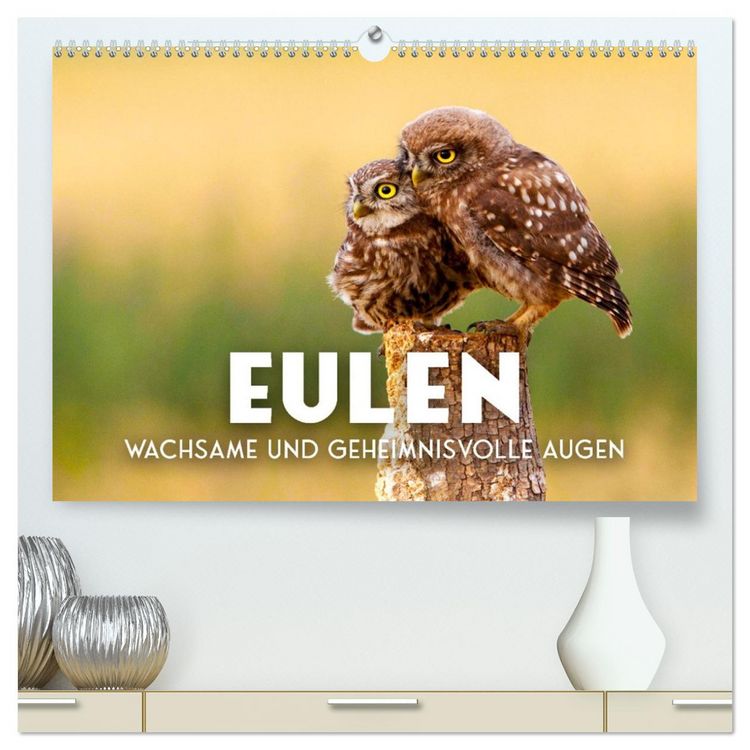 Produktbild: Eulen - Wachsame und geheimnisvolle Augen (hochwertiger Premium Wandkalender 2026 DIN A2 quer), Kunstdruck in Hochglanz