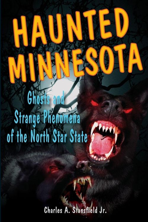 Produktbild: Haunted Minnesota