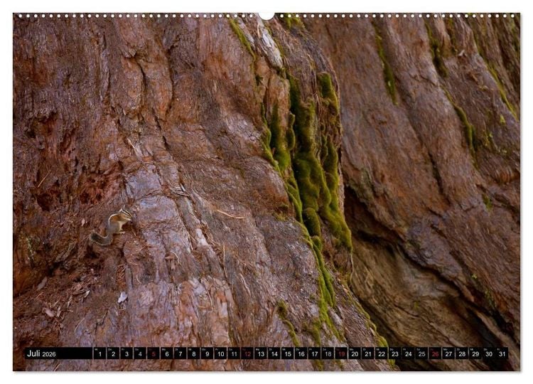 Produktbild: Yosemite - USA (hochwertiger Premium Wandkalender 2026 DIN A2 quer), Kunstdruck in Hochglanz