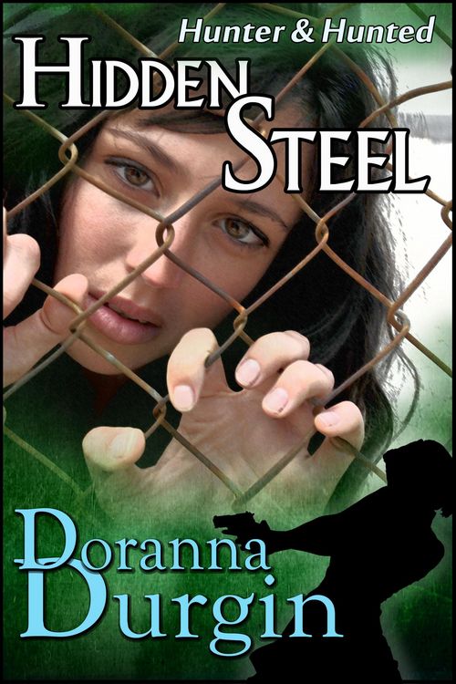 Produktbild: Hidden Steel (Hunter & Hunted, #1)