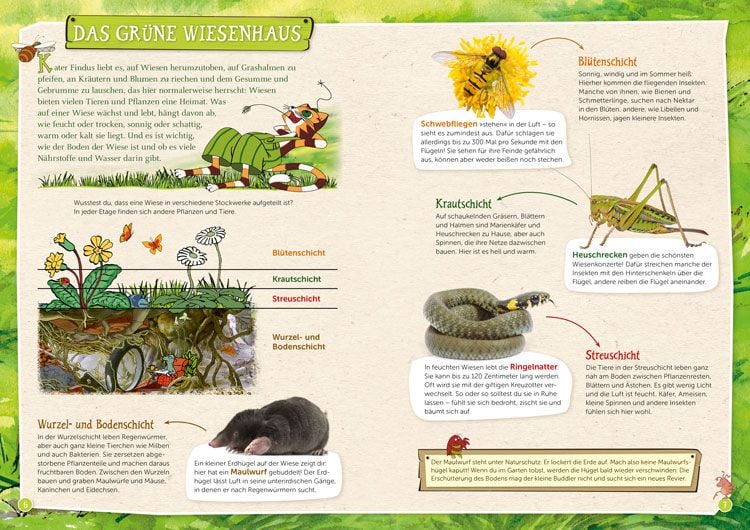 Produktbild: Pettersson und Findus: Tiere entdecken in Wald und Wiese