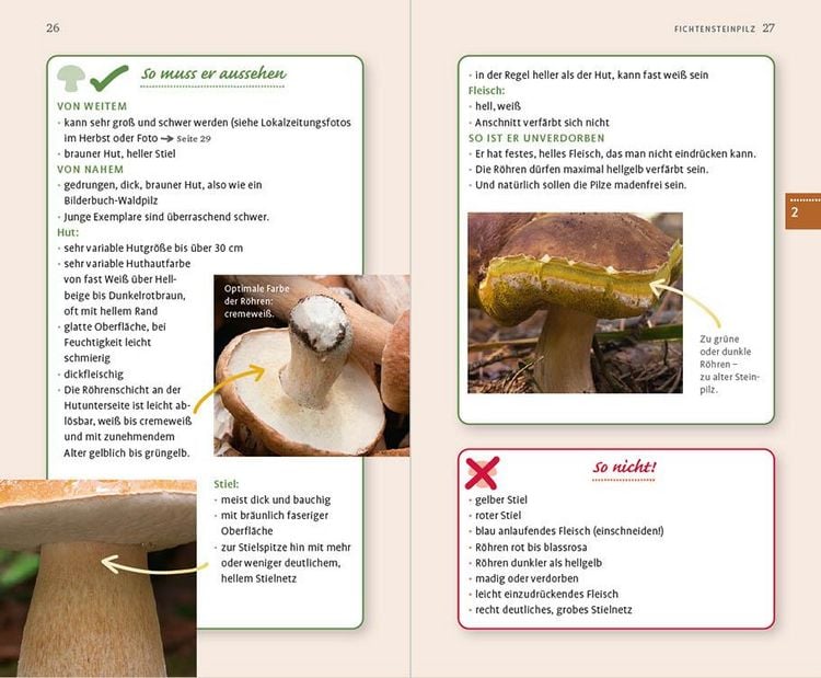 Produktbild: 10 Pilze
