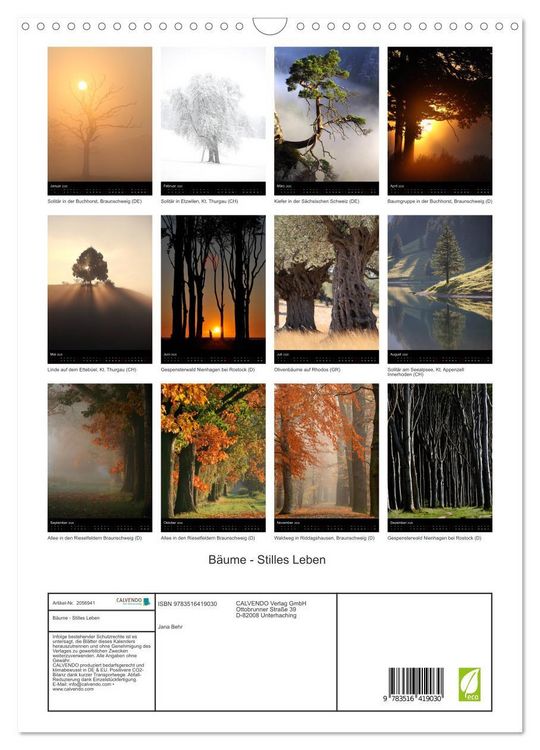Produktbild: B&auml;ume - Stilles Leben (Wandkalender 2026 DIN A3 hoch), CALVENDO Monatskalender