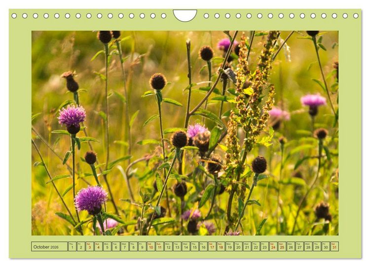 Produktbild: Wonderful Black Forest (Wall Calendar 2026 DIN A4 landscape), CALVENDO 12 Month Wall Calendar