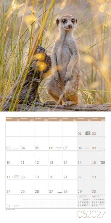 Produktbild: Erdm&auml;nnchen Kalender 2027 - 30x30 - Art12