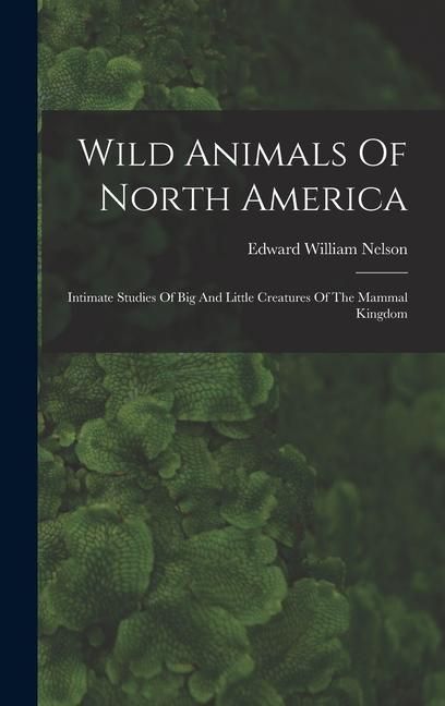 Produktbild: Wild Animals Of North America: Intimate Studies Of Big And Little Creatures Of The Mammal Kingdom