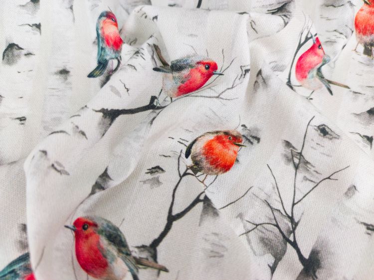 Produktbild: Leseknochen - Rotkehlchen und Birken