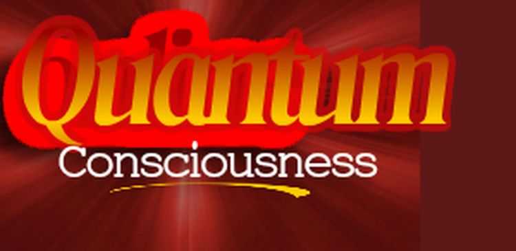 Produktbild: Quantum Consciousness