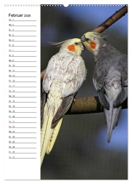 Produktbild: Der Nymphensittich-Terminplaner (hochwertiger Premium Wandkalender 2026 DIN A2 hoch), Kunstdruck in Hochglanz