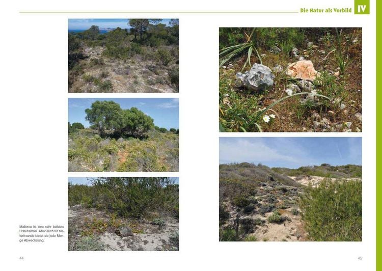 Produktbild: Fester Panzer &ndash; weiches Herz