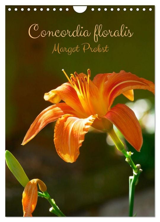 Produktbild: Concordia floralis (Calendrier mural 2026 DIN A4 horizontal), CALVENDO calendrier mensuel