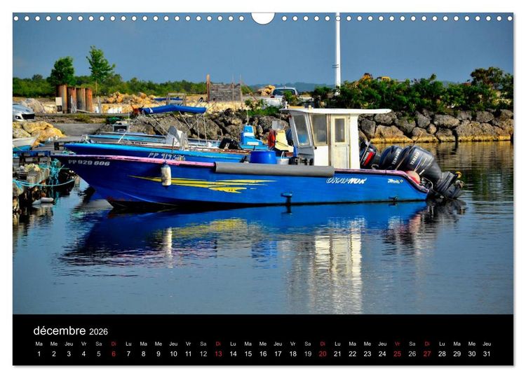 Produktbild: Paysages de Guadeloupe (Calendrier mural 2026 DIN A3 vertical), CALVENDO calendrier mensuel