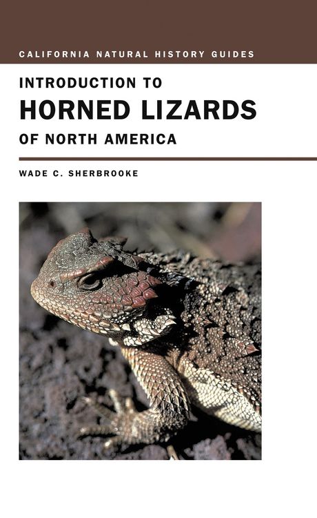 Produktbild: Introduction to Horned Lizards of North America