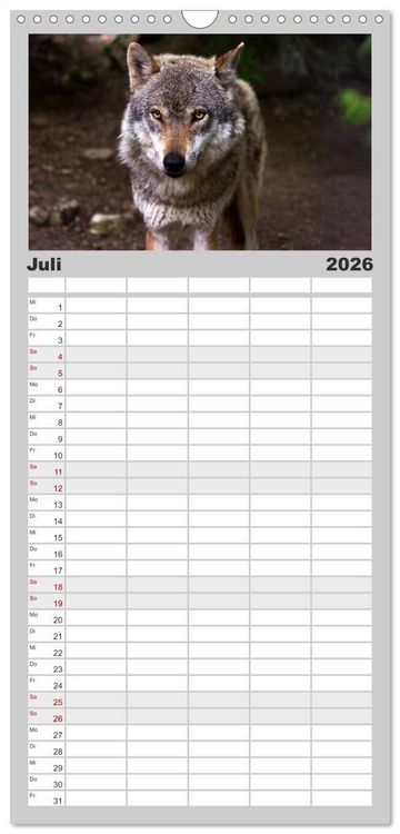 Produktbild: Familienplaner 2026 - W&ouml;lfe. Graue Eminenzen mit 5 Spalten (Wandkalender, 21 x 45 cm) CALVENDO