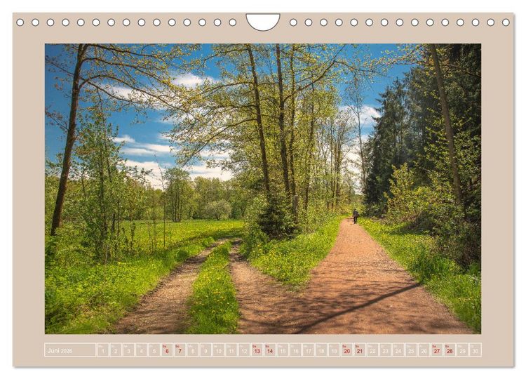 Produktbild: Vogtland - 900 Jahre Plauen (Wandkalender 2026 DIN A4 quer), CALVENDO Monatskalender