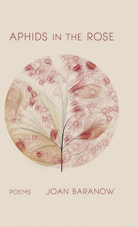 Produktbild: Aphids in the Rose