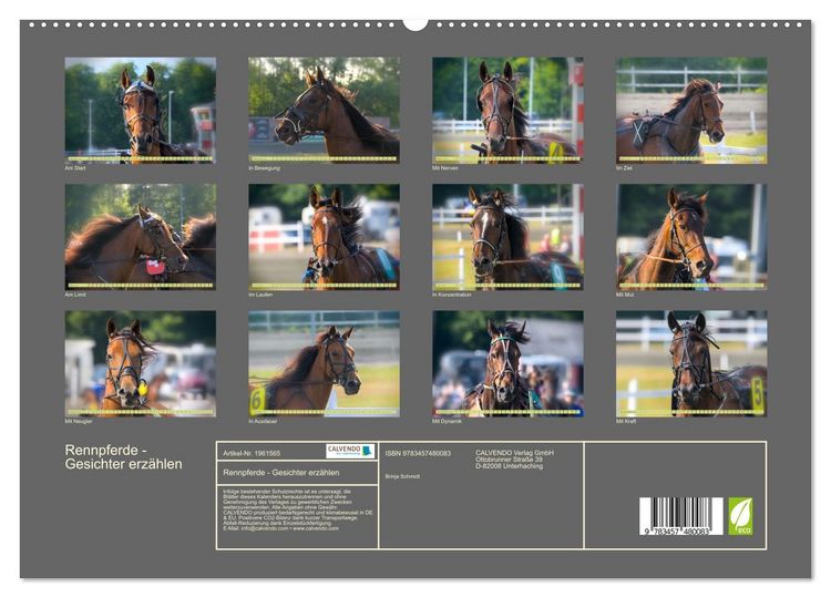 Produktbild: Rennpferde - Gesichter erz&auml;hlen (hochwertiger Premium Wandkalender 2026 DIN A2 quer), Kunstdruck in Hochglanz