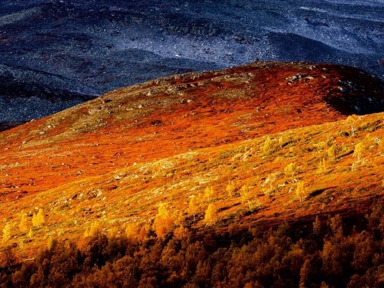 Produktbild: CALVENDO Puzzle Indian Summer in Gasbu, Norwegen | 1000 Teile Lege-Gr&ouml;&szlig;e 64x48cm Foto-Puzzle f&uuml;r gl&uuml;ckliche Stunden