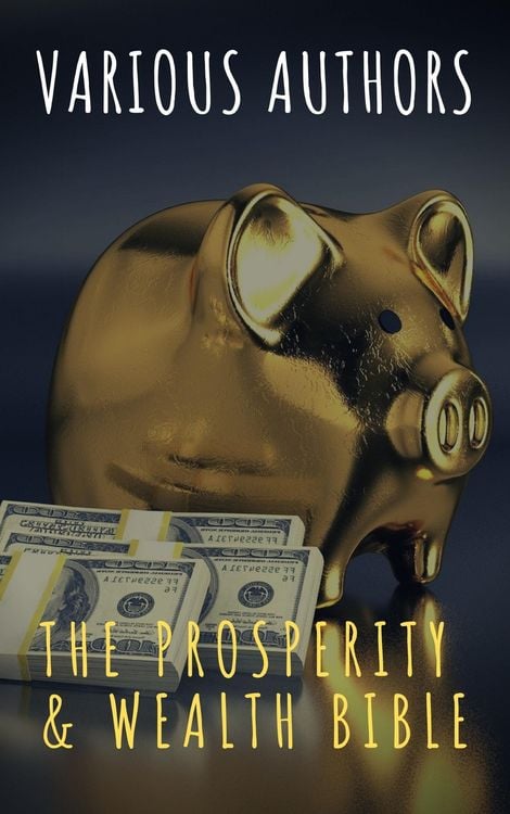 Produktbild: The Prosperity & Wealth Bible
