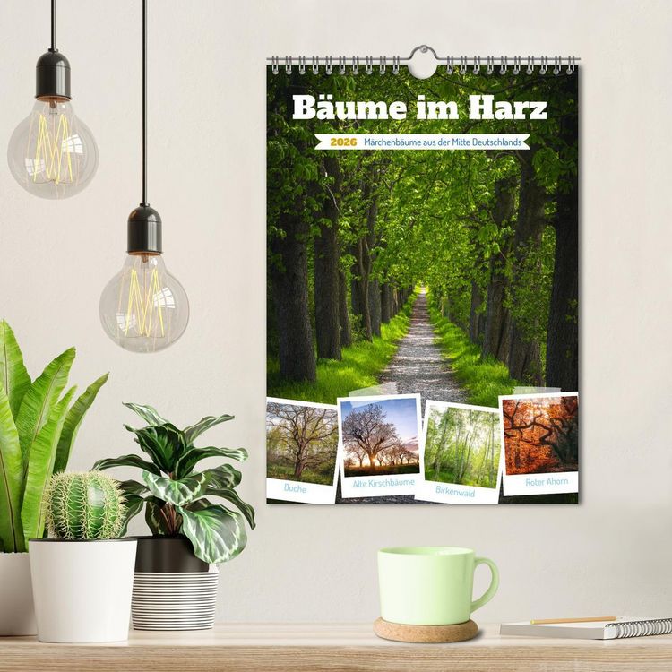 Produktbild: B&auml;ume im Harz (Wandkalender 2026 DIN A4 hoch), CALVENDO Monatskalender