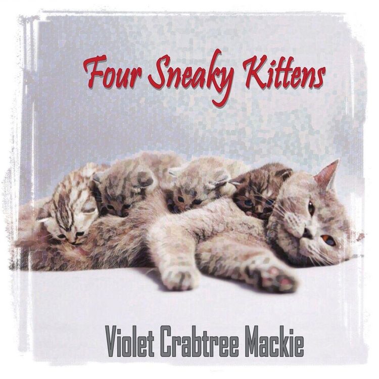 Produktbild: Four Sneaky Kittens