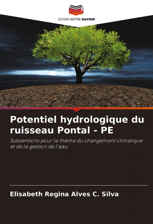 Produktbild: Potentiel hydrologique du ruisseau Pontal - PE