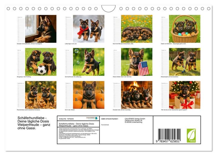 Produktbild: Sch&auml;ferhundliebe - Deine t&auml;gliche Dosis Welpenfreude &ndash; ganz ohne Gassi. (Wandkalender 2026 DIN A4 quer), CALVENDO Monatskalender